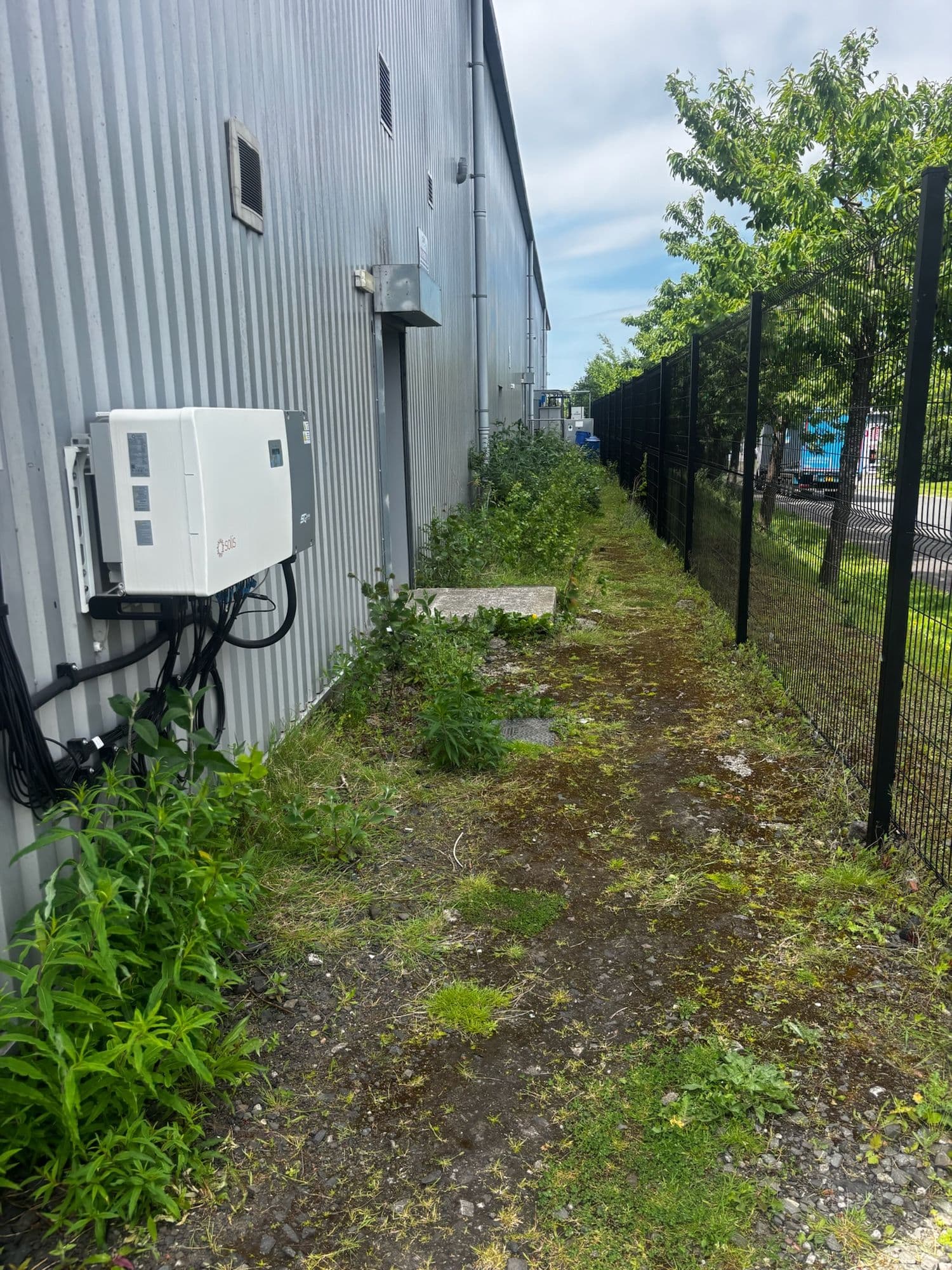 Long grass and weeds along a mesh perimeter fence at an industrial unit