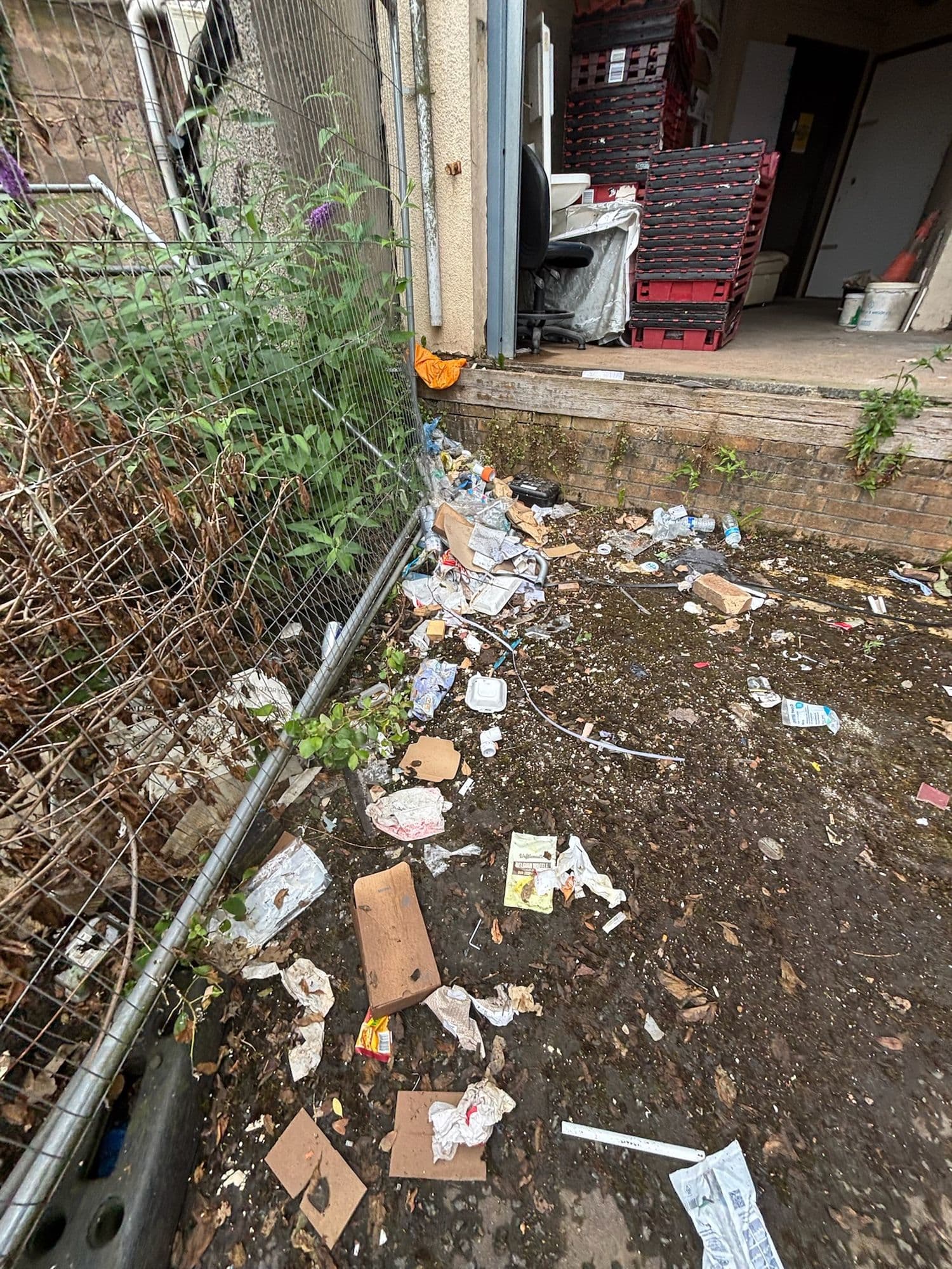 Overgrown corner of a service yard strewn with cardboard and litter
